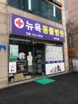 뉴욕동물병원