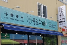 욜로오개