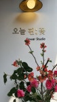오늘핀꽃