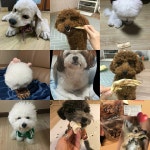 펫그램 부산대점