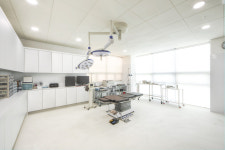 하라라성형외과의원