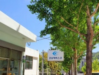 강남제비스코본사