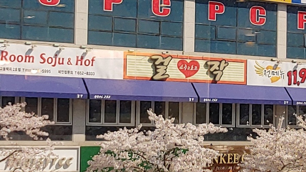 이미정의걸작교동점