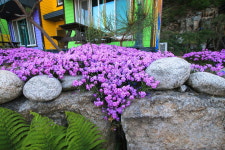 하늘도화지펜션