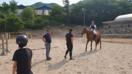 대암홀스랜드