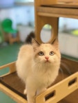 해피주 수원점
