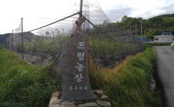 하동블루베리드림농장