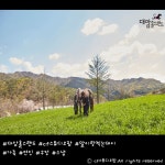 대암홀스랜드