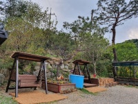 소나무향기펜션