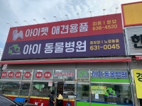 아이동물병원