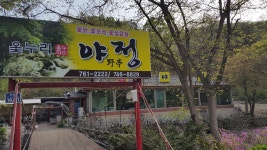 야정