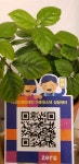 마인드앤브레인 아동청소년 상담센터