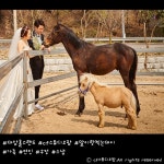 대암홀스랜드