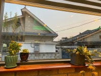 카페모란길/비에뜨반미