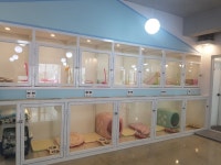 러블리독 애견호텔&애견카페