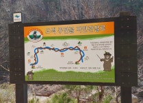 주전골자연관찰로