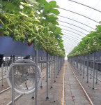 농업회사법인 씨엔테크