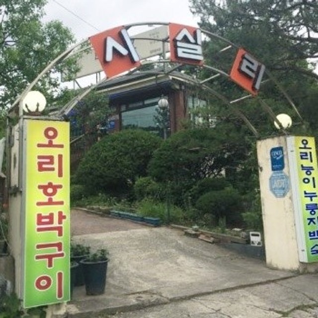 시실리 오리요리 대표 사진