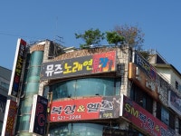 뮤즈노래연습장