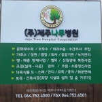 제주나무병원
