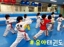 신주례유아태권도