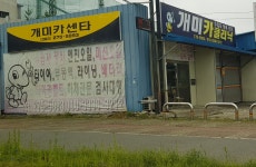 개미카센타
