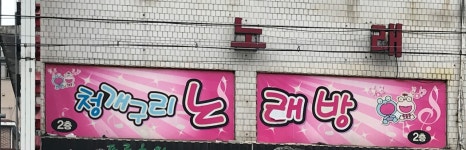 청개구리노래연습장