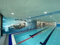 엔젤크루키즈스위밍 은계점