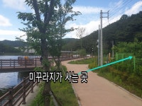 경동추어탕