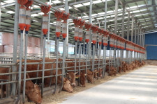 연화농업회사법인