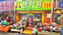 영암월출생약원