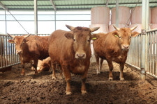 연화농업회사법인