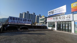 국가대표 자동차유리