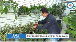 송죽화원