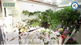 송죽화원