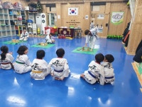 비룡태권도