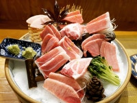 은참치
