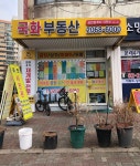 국화공인중개사사무소