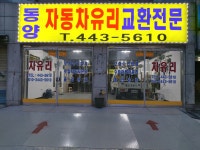 동양자동차유리