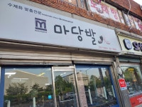 마당발