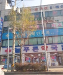 주례늘푸른약국