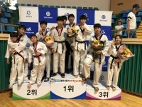 청호태권도