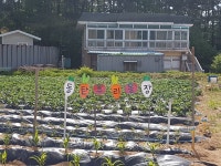 동탄우리유치원