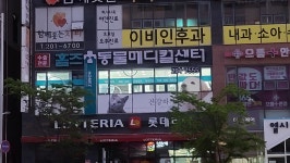 홈즈동물메디컬센터