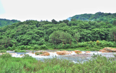 산골가든