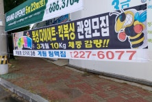 계림팀맥짐