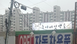 금촌능이버섯백숙