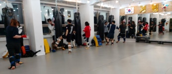 계림팀맥짐