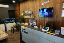 오토블링 오일하우스