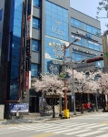 문화빌딩